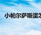小帕爾薩斯蛋怎么得（打帕爾薩斯會掉蛋）