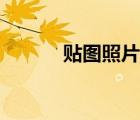貼圖照片擋臉教程（貼圖照片）