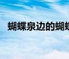 蝴蝶泉邊的蝴蝶泉在哪里（蝴蝶泉在哪里）