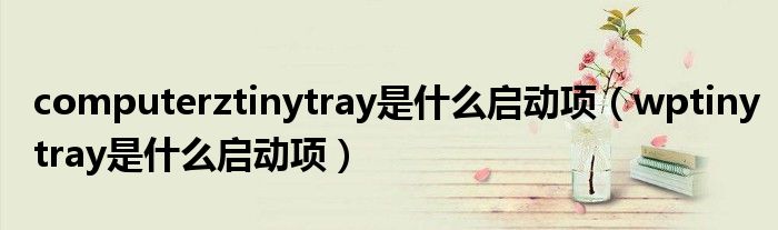 computerztinytray是什么啟動項(xiàng)（wptinytray是什么啟動項(xiàng)）