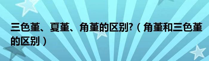 三色堇、夏堇、角堇的區(qū)別?（角堇和三色堇的區(qū)別）