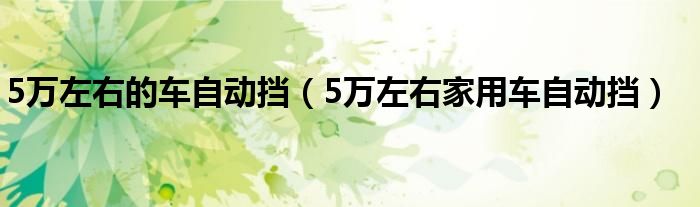 5萬左右的車自動擋（5萬左右家用車自動擋）