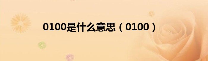 0100是什么意思（0100）