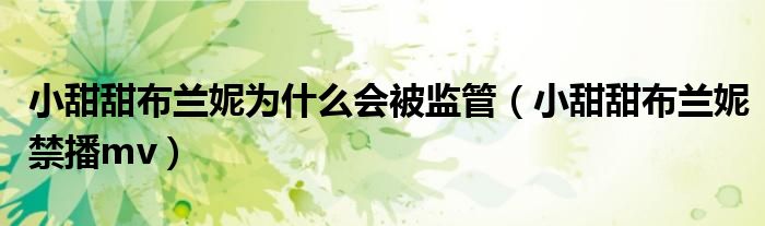 小甜甜布蘭妮為什么會(huì)被監(jiān)管（小甜甜布蘭妮禁播mv）