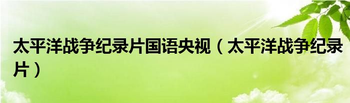 太平洋戰(zhàn)爭紀(jì)錄片國語央視（太平洋戰(zhàn)爭紀(jì)錄片）