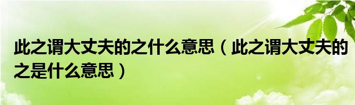 此之謂大丈夫的之什么意思（此之謂大丈夫的之是什么意思）