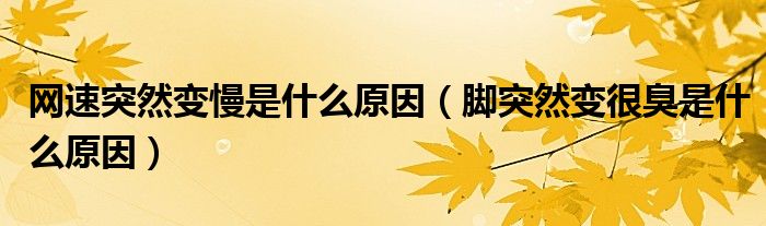 網(wǎng)速突然變慢是什么原因（腳突然變很臭是什么原因）