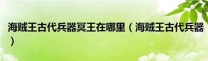 海賊王古代兵器冥王在哪里（海賊王古代兵器）