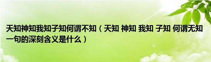 天知神知我知子知何謂不知（天知 神知 我知 子知 何謂無知 一句的深刻含義是什么）