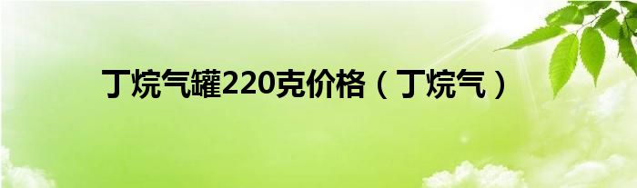 丁烷氣罐220克價格（丁烷氣）