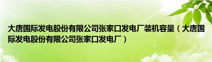 大唐國(guó)際發(fā)電股份有限公司張家口發(fā)電廠裝機(jī)容量（大唐國(guó)際發(fā)電股份有限公司張家口發(fā)電廠）