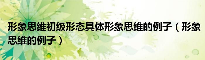 形象思維初級形態(tài)具體形象思維的例子（形象思維的例子）