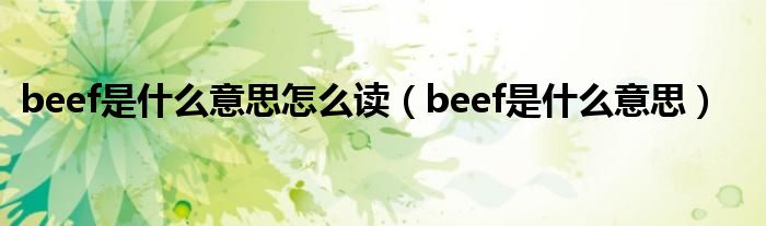 beef是什么意思怎么讀（beef是什么意思）