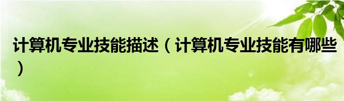 計(jì)算機(jī)專業(yè)技能描述（計(jì)算機(jī)專業(yè)技能有哪些）