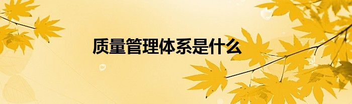 質(zhì)量管理體系是什么