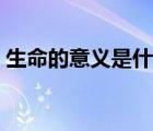 生命的意義是什么英文（生命的意義是什么）