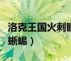 洛克王國火刺眼蜥蜴怎么得（洛克王國火刺眼蜥蜴）