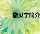 撒貝寧簡介個人資料（撒貝寧簡介）
