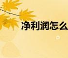 凈利潤怎么算股價（凈利潤怎么算）