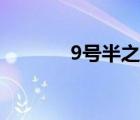 9號(hào)半之花百科（9號(hào)半之花）