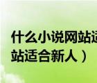 什么小說網(wǎng)站適合新人好簽約的（什么小說網(wǎng)站適合新人）