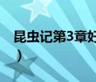 昆蟲記第3章好詞好句（昆蟲記好詞好句賞析）
