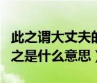 此之謂大丈夫的之什么意思（此之謂大丈夫的之是什么意思）