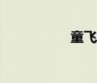 童飛鳴簡(jiǎn)歷（童振軍）
