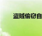 盜賊偷竊自動拾取宏（盜賊偷竊宏）
