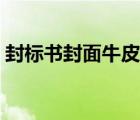 封標(biāo)書封面牛皮紙袋圖片模板（封標(biāo)書封面）