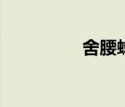 舍腰蜂的巢穴（舍腰蜂）