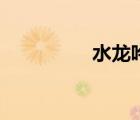 水龍吟辛棄疾（水龍呤）