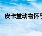 皮卡堂動物懷孕要多久（皮卡堂怎么懷孕）