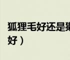 狐貍毛好還是獺兔毛好（狐貍毛和獺兔毛哪個好）