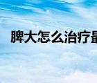 脾大怎么治療最好用中藥（怎樣治療脾大）