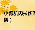 小臂肌肉拉傷怎么恢復(fù)（肌肉拉傷了怎么恢復(fù)快）