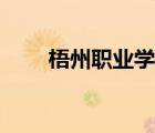 梧州職業(yè)學(xué)院介紹（梧州職業(yè)學(xué)院）