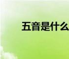 五音是什么樣的聲音（五音是什么）