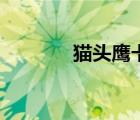 貓頭鷹卡通圖片（貓頭鷹蝶）