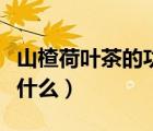 山楂荷葉茶的功效（山楂與荷葉泡水的功效是什么）