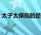 太子太保指的是教授太子的官員（太子太保）