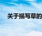 關(guān)于描寫草的優(yōu)美句子（描寫草的句子）