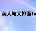 美人與大排面txt百度云（美人與大排面txt）