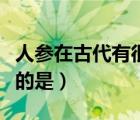 人參在古代有很多雅稱分別是（不是人參雅稱的是）