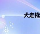 犬走椛高清壁紙（犬走椛）