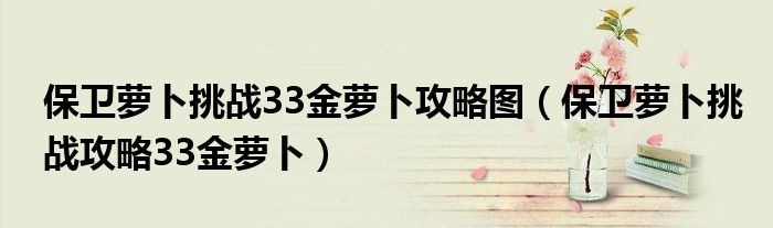 保衛(wèi)蘿卜挑戰(zhàn)33金蘿卜攻略圖（保衛(wèi)蘿卜挑戰(zhàn)攻略33金蘿卜）