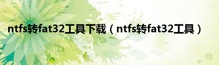 ntfs轉(zhuǎn)fat32工具下載（ntfs轉(zhuǎn)fat32工具）