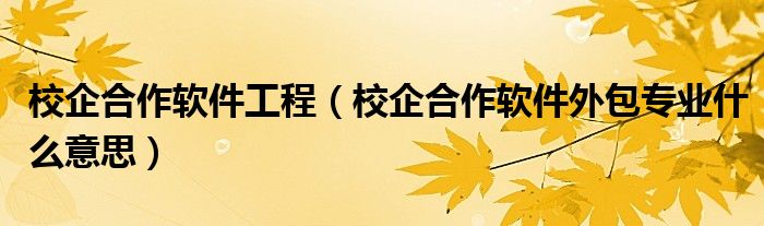 校企合作軟件工程（校企合作軟件外包專業(yè)什么意思）