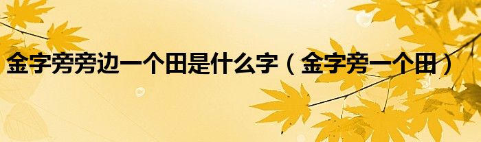 金字旁旁邊一個(gè)田是什么字（金字旁一個(gè)田）
