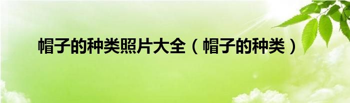帽子的種類照片大全（帽子的種類）